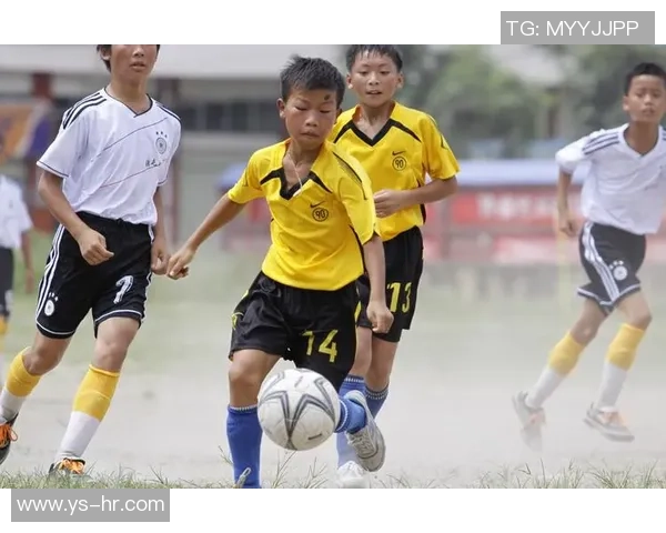 足球的魅力与历史交织的旅程读后感分享